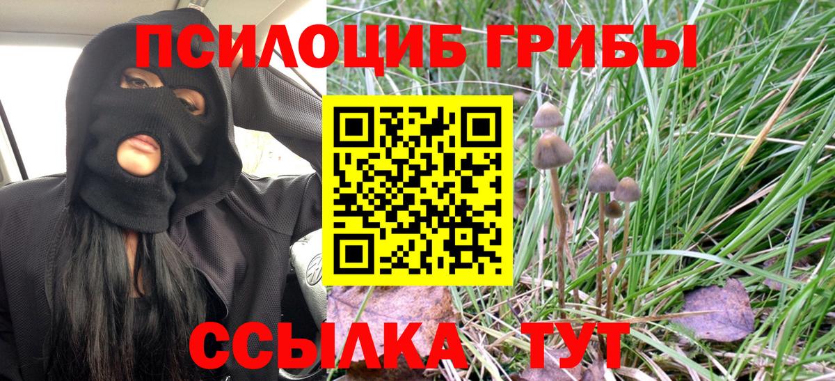 Псилоцибиновые грибы GOLDEN TEACHER  Вход с VPN  Каменка  Галлюциногенные грибы Psilocybine cubensis 